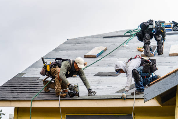 Professional Roofing technician working in Freeland, WA